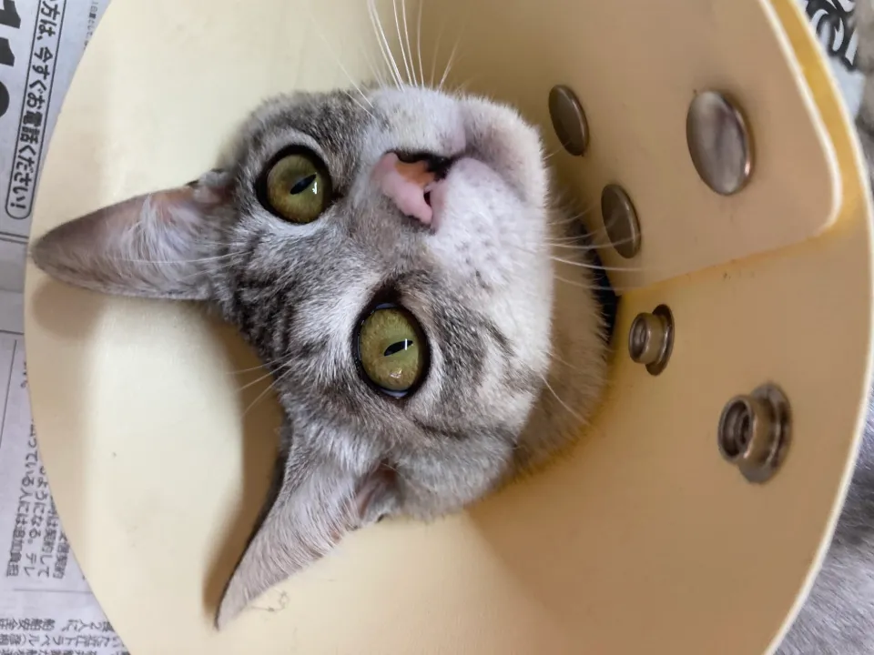 Mamy’s First Outdoor Adventure